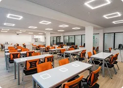 https://europeanuniversitytbilisi.com/wp-content/uploads/2026/06/eu10.webp