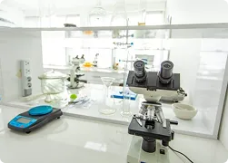 https://europeanuniversitytbilisi.com/wp-content/uploads/2026/06/eu18.webp